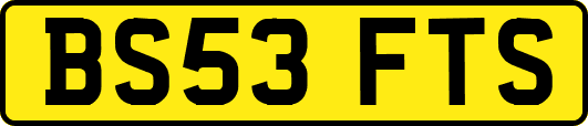 BS53FTS