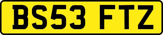 BS53FTZ