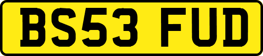 BS53FUD