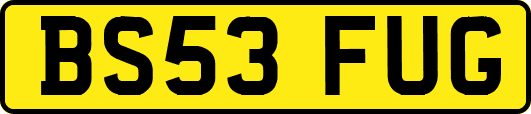 BS53FUG
