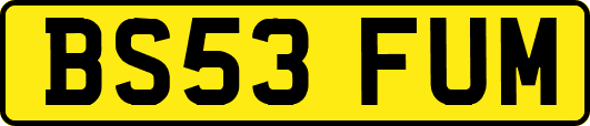 BS53FUM