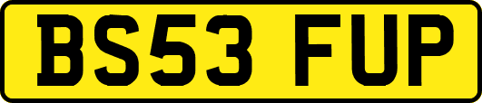 BS53FUP