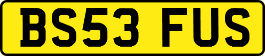 BS53FUS