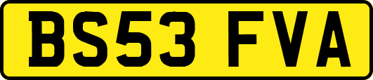 BS53FVA