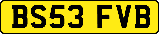 BS53FVB