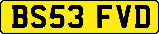 BS53FVD