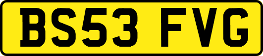 BS53FVG