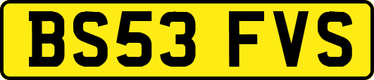 BS53FVS