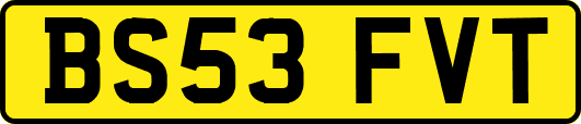 BS53FVT