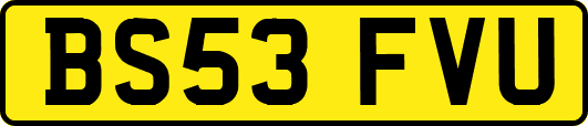 BS53FVU