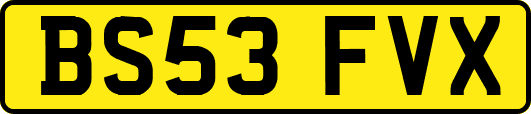 BS53FVX