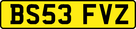BS53FVZ