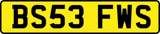 BS53FWS