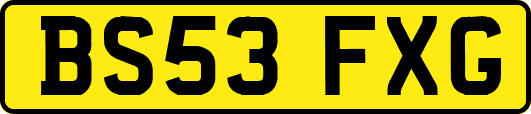 BS53FXG