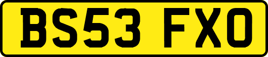 BS53FXO