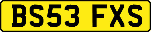 BS53FXS