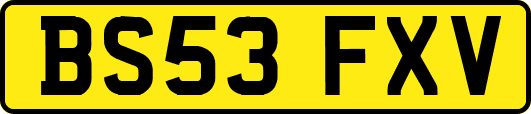 BS53FXV