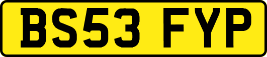 BS53FYP