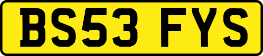 BS53FYS