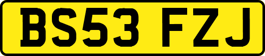 BS53FZJ