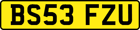 BS53FZU