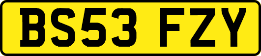 BS53FZY
