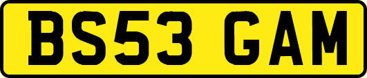 BS53GAM