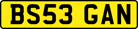 BS53GAN