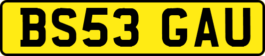 BS53GAU