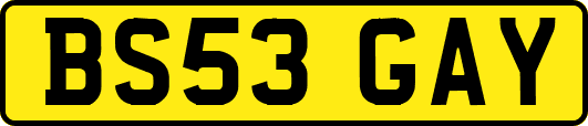 BS53GAY