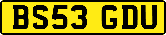 BS53GDU