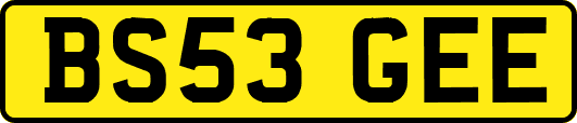 BS53GEE