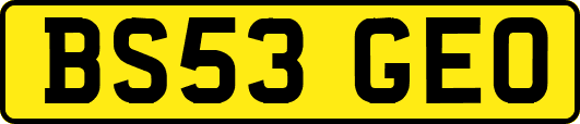 BS53GEO