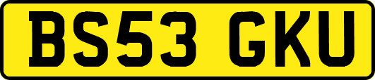 BS53GKU