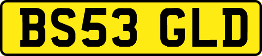 BS53GLD