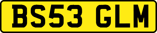 BS53GLM