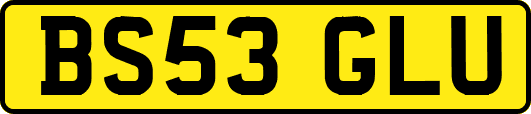 BS53GLU