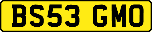 BS53GMO