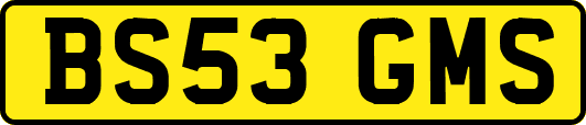 BS53GMS