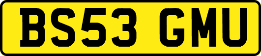 BS53GMU