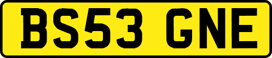 BS53GNE