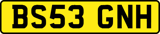BS53GNH