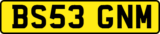BS53GNM