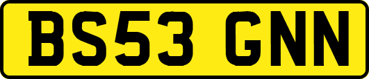 BS53GNN