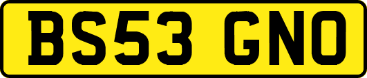 BS53GNO