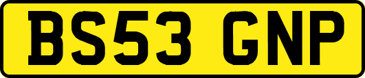 BS53GNP