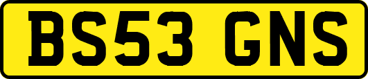 BS53GNS