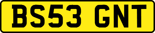 BS53GNT