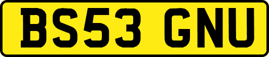 BS53GNU