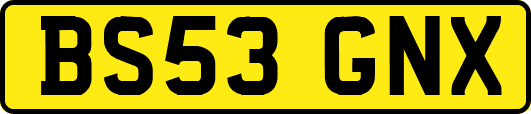 BS53GNX